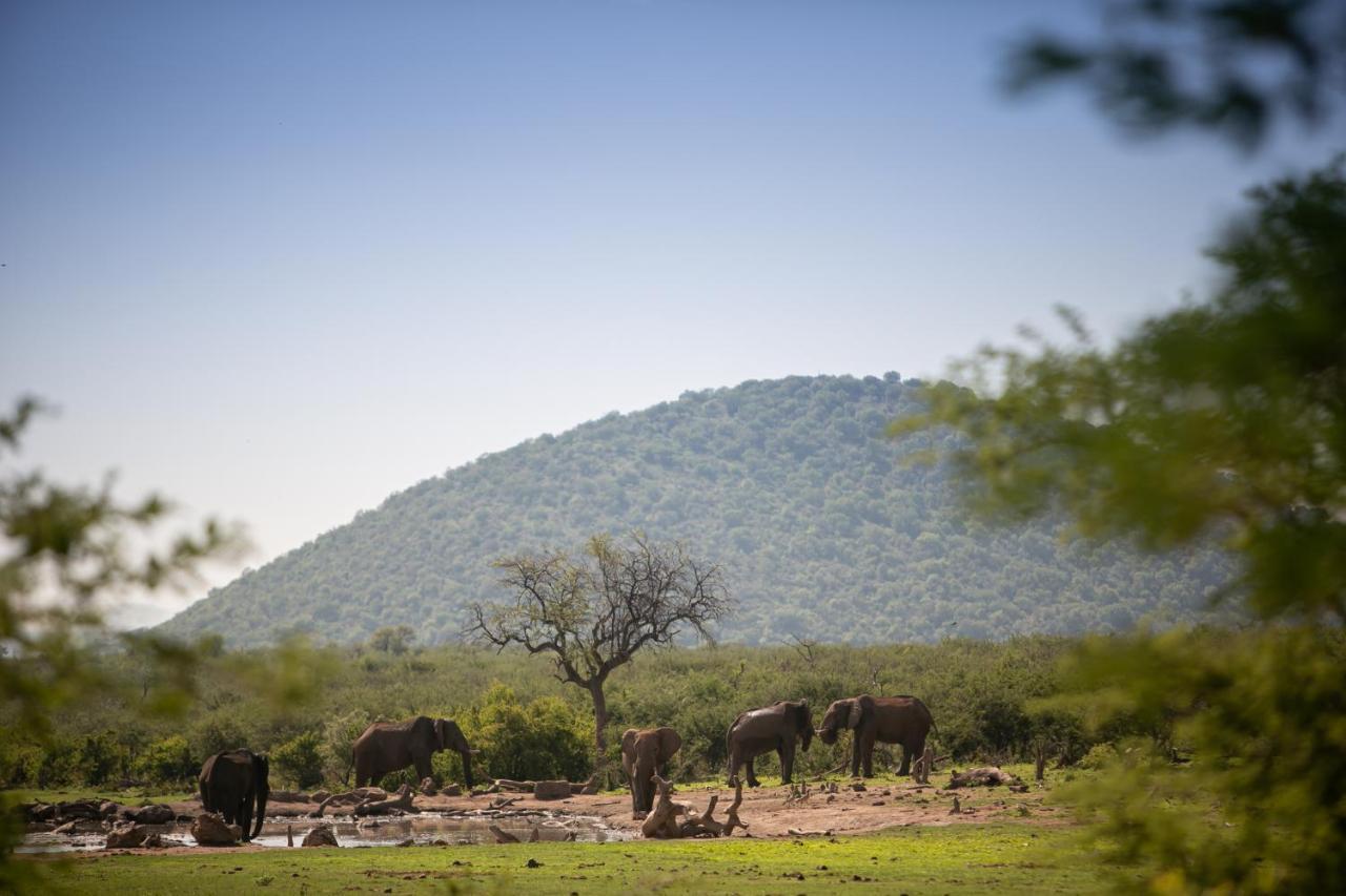 Jamala Madikwe Villa มาเดิคเวเกมรีเซิร์ฟ ภายนอก รูปภาพ